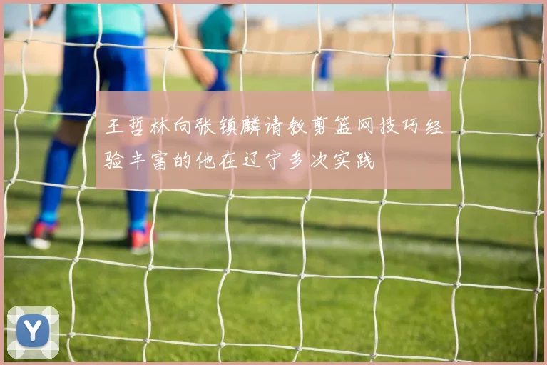 王哲林向张镇麟请教剪篮网技巧经验丰富的他在辽宁多次实践